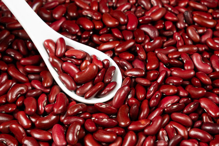 Pile of Red Kidney Beans in a Spoon. Healthy Plant-Based Nutrition.