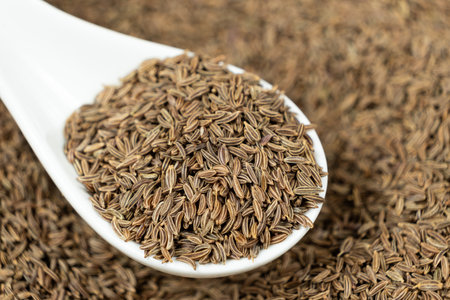 Whole cumin seeds Carum carvi L. in a spoon close-up