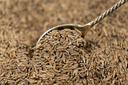 Whole cumin seeds Carum carvi L. in a spoon close-up
