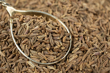 Whole cumin seeds Carum carvi L. in a spoon close-upの写真素材