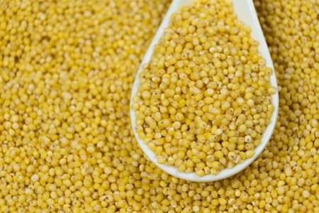 Uncooked organic raw millet grains in a spoon close-up.