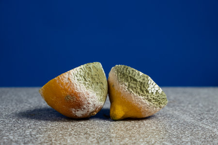 Rotten Lemon with Green and White Mold Spotsの写真素材
