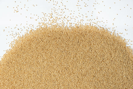 Raw organic amaranth grains on a white background, top view.の写真素材