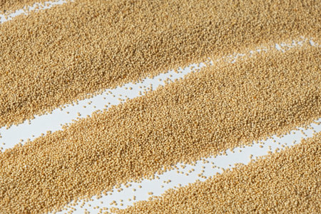 Top View of Uncooked Amaranth Wholesome Super grain.の写真素材