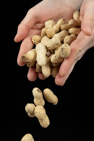 Hands pouring whole peanuts, black backgroundの写真素材