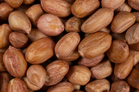 Raw brown peanuts macro view from aboveの写真素材