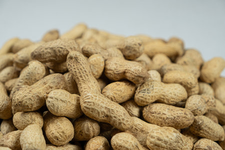 Whole Raw Peanuts in Shell Close-Up.の写真素材
