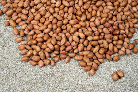 Pile of unpeeled brown raw peanuts on a gray background.の写真素材