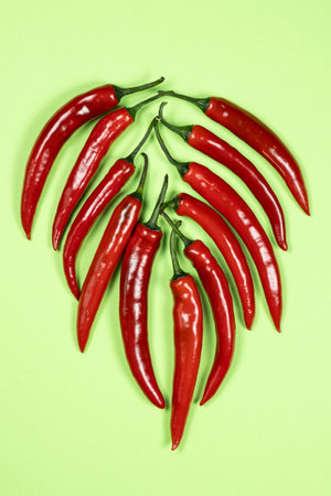 Assortment of Hot Peppers in Close-Up Top Viewの写真素材
