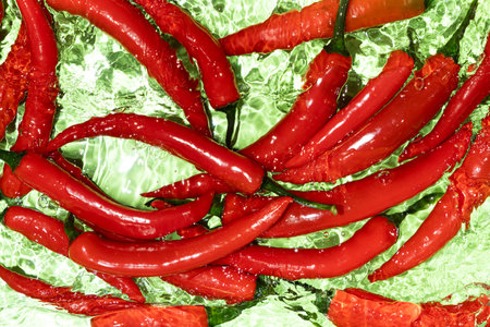 Fresh Red Hot Chili Peppers In Water Top Viewの写真素材
