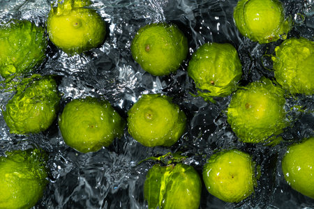 Whole Limes Drifting in Water with Soft Ripplesの写真素材