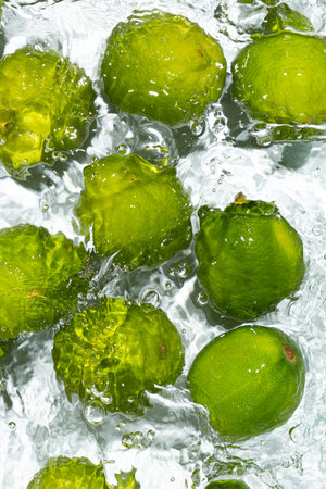 Citrus Vibes Fresh Limes in Clear Liquidの写真素材