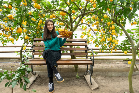 A woman and a basket of ripe lemons. Growing lemonsの写真素材