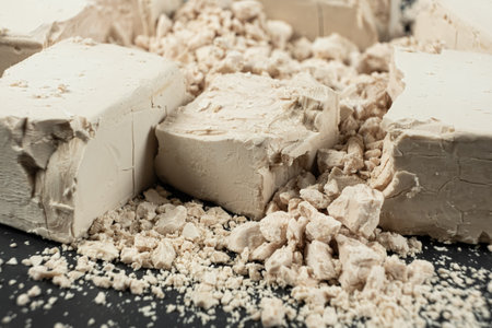 Organic Wet Yeast for Natural Fermentationの写真素材