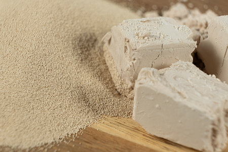 Comparison of Fresh Wet Yeast and Granular Dry Active Yeastの写真素材