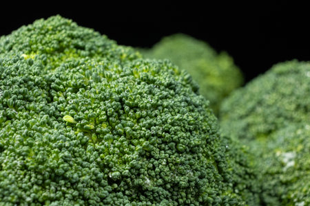 Natural Texture of Fresh Raw Broccoli in Macro.