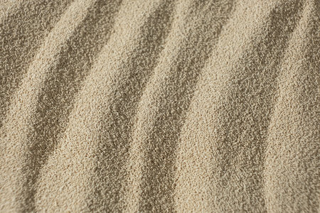 Macro Background of Dry Active Yeast.の写真素材