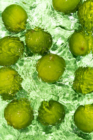 Green Limes on Water Surface Flat Lay Vertical.の写真素材