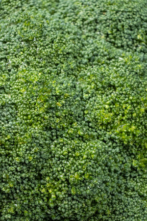 Natural Texture of Fresh Raw Broccoli in Macro.の写真素材