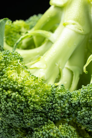 Macro Shot of Healthy Organic Broccoli Florets.の写真素材