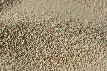 Macro Background of Dry Active Yeast.の写真素材