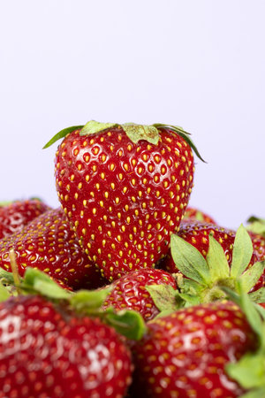Fresh strawberries piled up. Summer harvest of organic berriesの写真素材