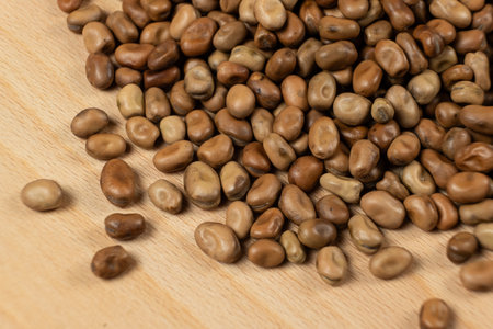 Dried Vicia Faba beans macro, source of vegetable protein.の写真素材