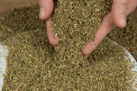 Dried natural oregano pouring from hands, close-up.の写真素材