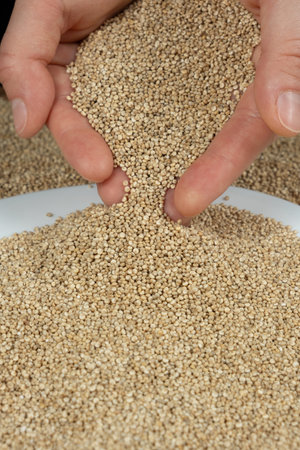 White Quinoa Seeds Pour. Healthy Superfood Textureの写真素材