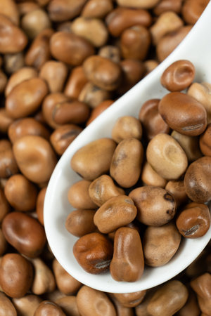 Dried vicia faba beans in a spoon close-up.