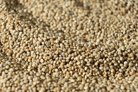 White Quinoa Macro Background. Raw Superfood Texture.の写真素材