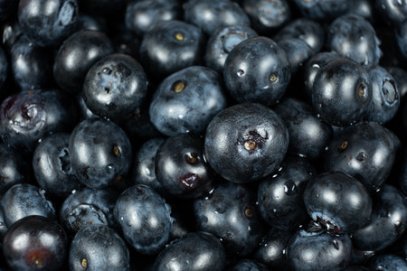 Fresh blueberries in drops of water close-up, berry background.の写真素材