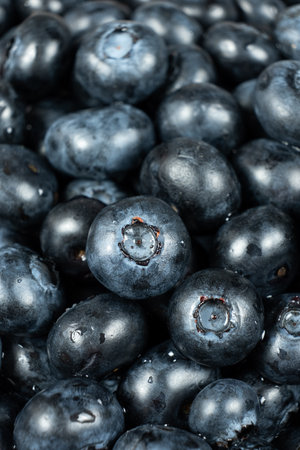 Vertical berry background of fresh blueberries with water droplets.の写真素材