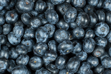 Macro View of Organic Blueberries. Natural Berry Background