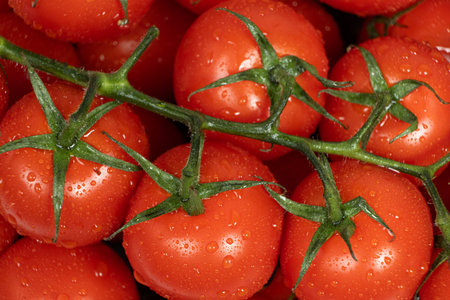 Cluster of Cocktail Tomatoes on the Vine.
