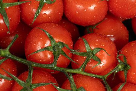 Cluster of Cocktail Tomatoes on the Vine.の写真素材