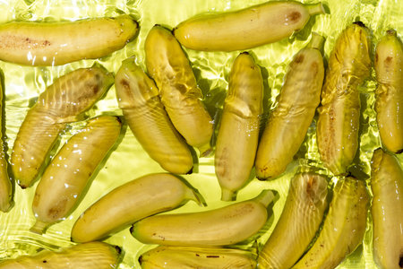 Mini Bananas in Clear Water with Splash. Aesthetic Fruit Sceneの写真素材