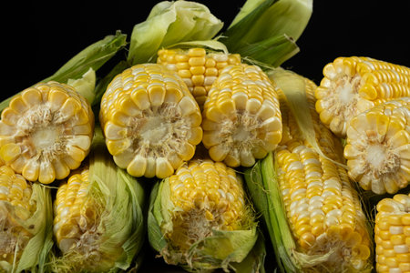 Close-up of fresh raw corn cobs with kernels and husks.の写真素材