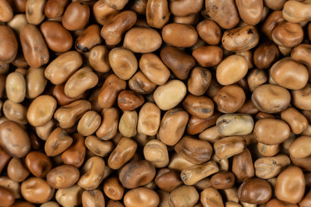 Edible Garden Beans Vicia Faba Macro Top View
