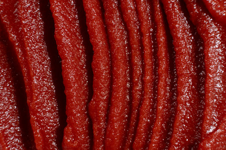 Tomato Paste Macro View. Abstract Cooking Texture in Red.の写真素材
