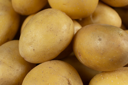 Fresh Raw Unpeeled Potatoes Close-Up, Natural Farm Vegetablesの写真素材