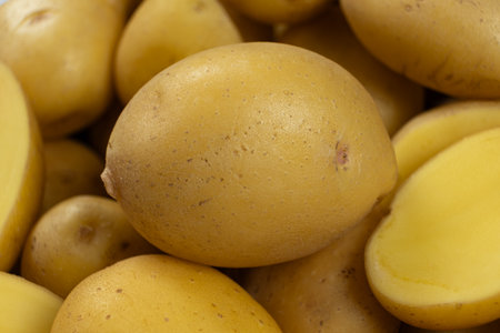 Fresh raw unpeeled potatoes close-up.の写真素材