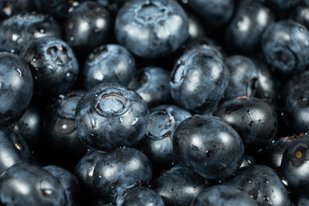 Fresh Blueberries with Water Droplets. Berry Background Close-Upの写真素材