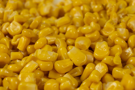 Bright Sweet Canned Corn Kernels Macroの写真素材