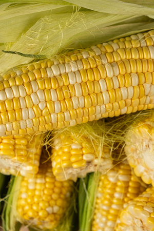 Macro shot of fresh raw corn cobs with green leavesの写真素材