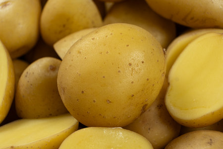 Fresh raw unpeeled potatoes close-up.の写真素材