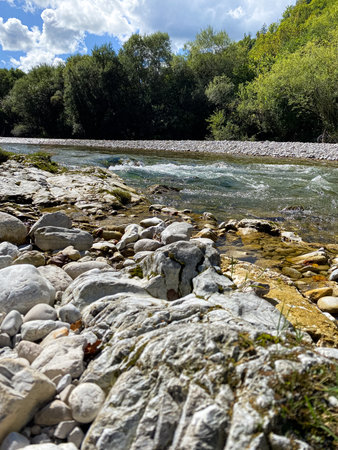 Scenic River and Alpine Forest. Majestic Mountain View with Pure Nature and Timeless Beauty.