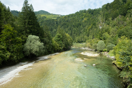 Beautiful Natural Background with Forest River in Summer.