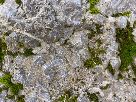 Abstract Stone Background With Moss.の写真素材