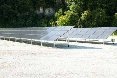 Clean Energy from Solar Panels by the Forest